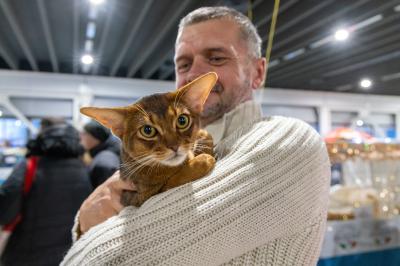 FIERA GATTI FERRARA