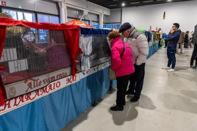 FIERA GATTI FERRARA