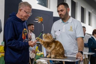 FIERA GATTI FERRARA