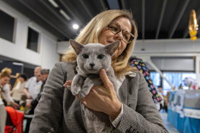 FIERA GATTI FERRARA