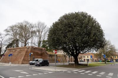 INAUGURAZIONE ACCESSO EST FERRARA