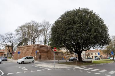 INAUGURAZIONE ACCESSO EST FERRARA