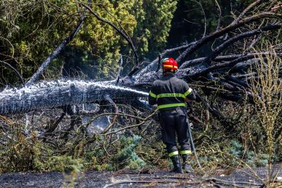 INCENDIO STERPAGLIE VIA CANAPA FERRARA