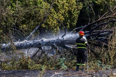 INCENDIO STERPAGLIE VIA CANAPA FERRARA