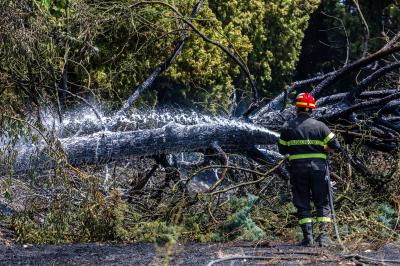 INCENDIO STERPAGLIE VIA CANAPA FERRARA