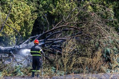 INCENDIO STERPAGLIE VIA CANAPA FERRARA