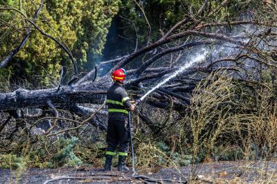 INCENDIO STERPAGLIE VIA CANAPA FERRARA
