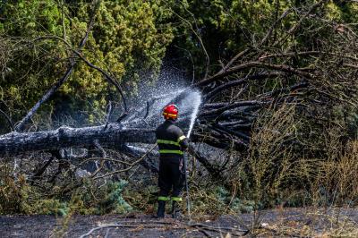 INCENDIO STERPAGLIE VIA CANAPA FERRARA