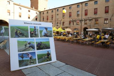 NOTTE GIALLA COLDIRETTI PIAZZA MUNICIPALE