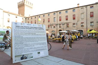 NOTTE GIALLA COLDIRETTI PIAZZA MUNICIPALE