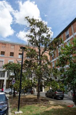 VIA GOBETTI FERRARA
