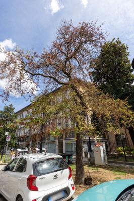 VIA GOBETTI FERRARA