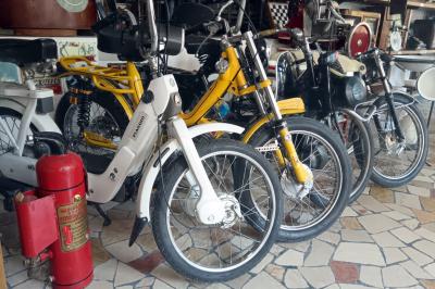 NEGOZIO TI HO MOSSO UN RICORDO FERRARA