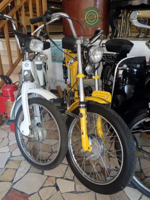 NEGOZIO TI HO MOSSO UN RICORDO FERRARA