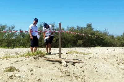 RITROVAMENTO BOMBA SPIAGGIA LIDO SPINA