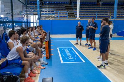 RADUNO ADAMANT BASKET FERRARA