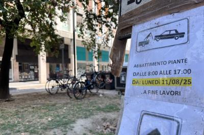 ABBATTIMENTO ALBERI VIA GOBETTI FERRARA