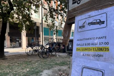 ABBATTIMENTO ALBERI VIA GOBETTI FERRARA