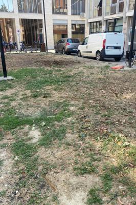 TAGLIO ALBERI VIA GOBETTI FERRARA