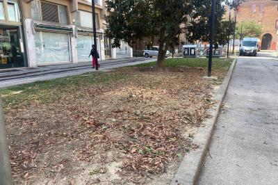 TAGLIO ALBERI VIA GOBETTI FERRARA