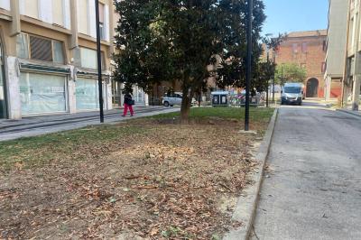 TAGLIO ALBERI VIA GOBETTI FERRARA