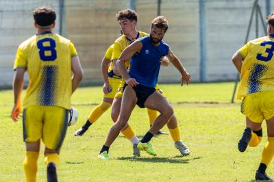 AMICHEVOLE SPAL ARS ET LABOR - MASI TORELLO