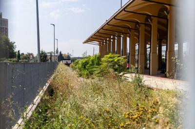 DEGRADO STAZIONE FERRARA
