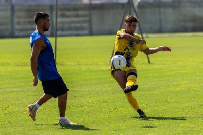 AMICHEVOLE SPAL ARS ET LABOR - MASI TORELLO