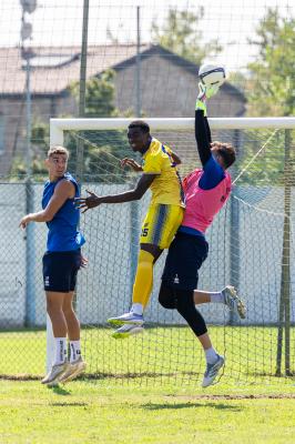 AMICHEVOLE SPAL ARS ET LABOR - MASI TORELLO