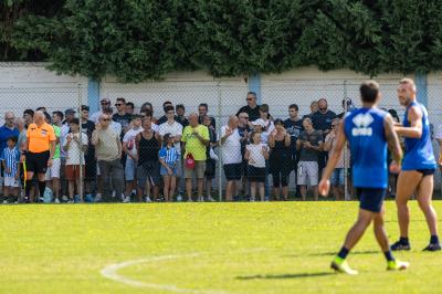 AMICHEVOLE SPAL ARS ET LABOR - MASI TORELLO