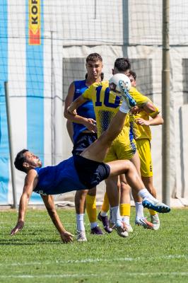 AMICHEVOLE SPAL ARS ET LABOR - MASI TORELLO