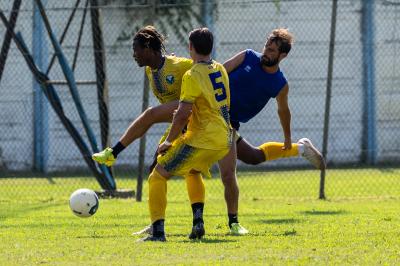 AMICHEVOLE SPAL ARS ET LABOR - MASI TORELLO