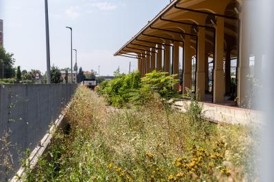 DEGRADO STAZIONE FERRARA