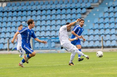 SPAL ARS ET LABOR - MESOLA