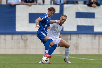 SPAL ARS ET LABOR - MESOLA