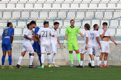 SPAL ARS ET LABOR - MESOLA