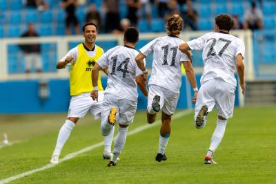 SPAL ARS ET LABOR - MESOLA