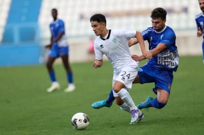 SPAL ARS ET LABOR - MESOLA