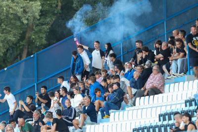 SPAL ARS ET LABOR - MESOLA