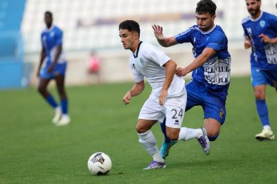 SPAL ARS ET LABOR - MESOLA