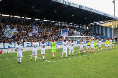 SPAL ARS ET LABOR - MESOLA