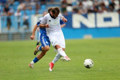 SPAL ARS ET LABOR - MESOLA
