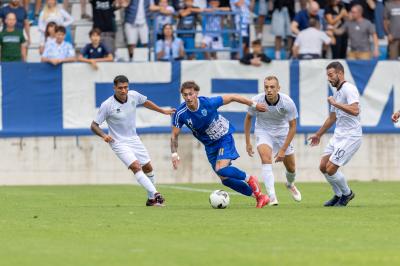 SPAL ARS ET LABOR - MESOLA