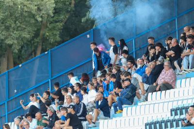 SPAL ARS ET LABOR - MESOLA