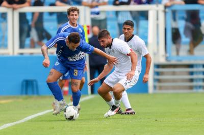 SPAL ARS ET LABOR - MESOLA
