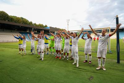 SPAL ARS ET LABOR - MESOLA