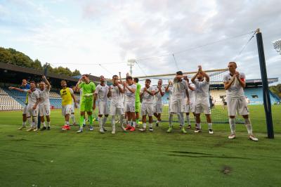 SPAL ARS ET LABOR - MESOLA