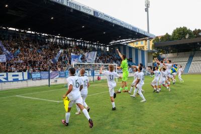 SPAL ARS ET LABOR - MESOLA
