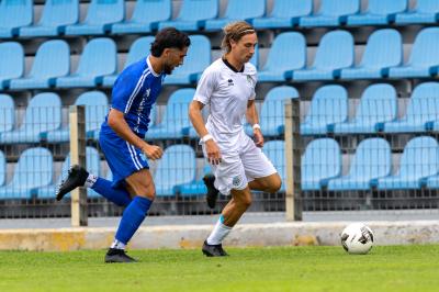 SPAL ARS ET LABOR - MESOLA