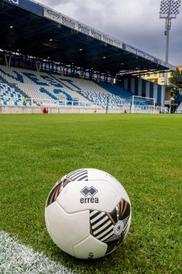 SPAL ARS ET LABOR - MESOLA